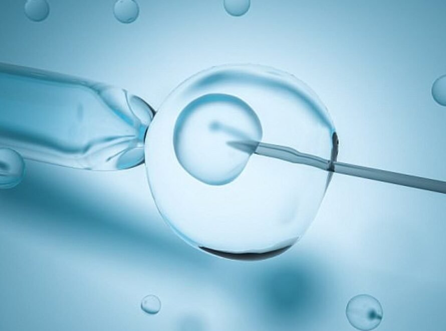 HOW MANY EMBRYOS SHOULD BE TRANSFERRED IN AN IVF CYCLE - Vasundhara Hospital Jaipur