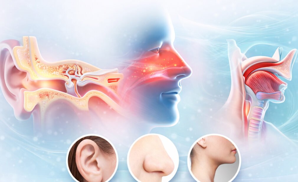 ENT - Vasundhara Hospital Best Multi-Specialty Hospital in India and Jodhpur ENT